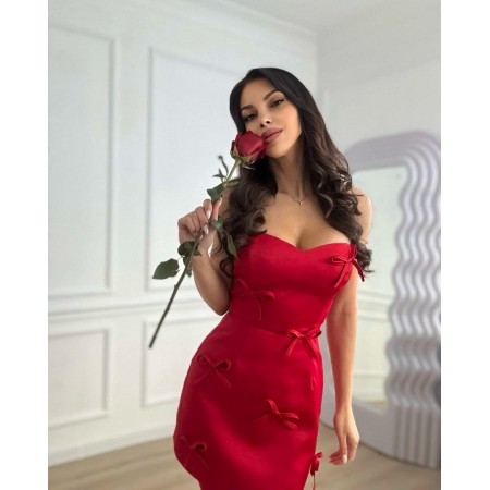 Red Bustier Dress